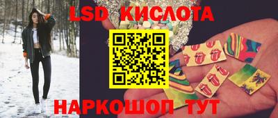 скорость Новозыбков