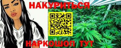 скорость Новозыбков