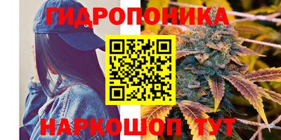 скорость Новозыбков