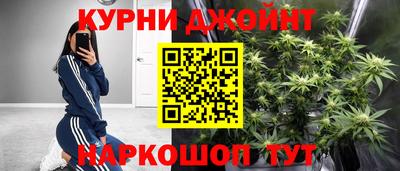 скорость Новозыбков