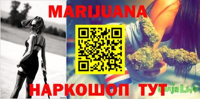 скорость Новозыбков