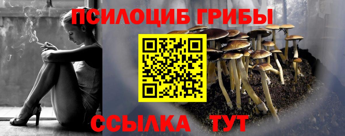 Галлюциногенные грибы прущие грибы Барнаул