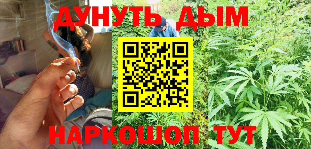 Бошки марихуана ГИДРОПОН  Вход с VPN  Каннабис семена  Бошки марихуана план  Барнаул 